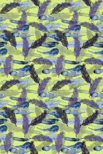 812845-170324-羽毛-1-1