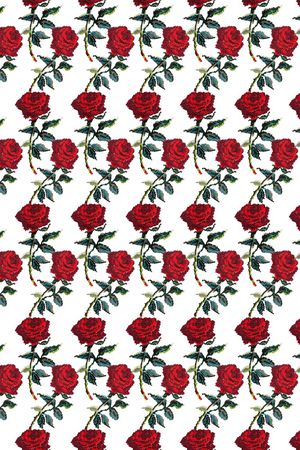 DG杜嘉班纳印花华亿平台图片