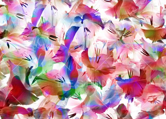 炫彩印花华亿平台图片