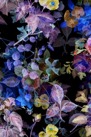 炫彩印花华亿平台图片