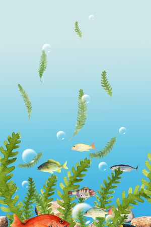 热带鱼印花华亿平台图片