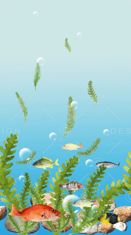 热带鱼印花华亿平台图片