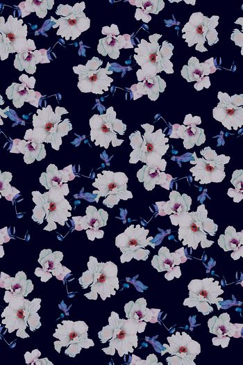 813521-淡雅花卉1