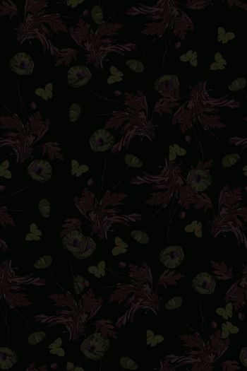 813546-蝴蝶与花4