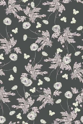 813549-蝴蝶与花6