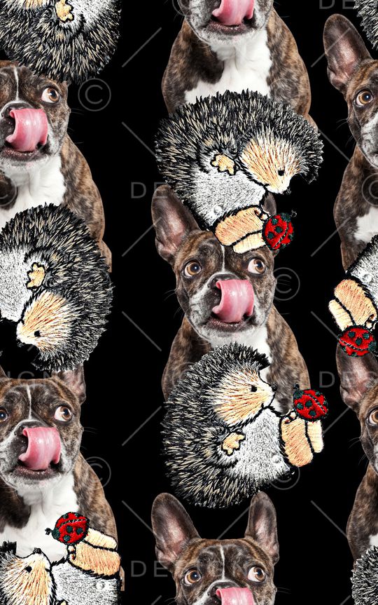 抽象手绘水彩画动物狗狗数码印花印花华亿平台图片