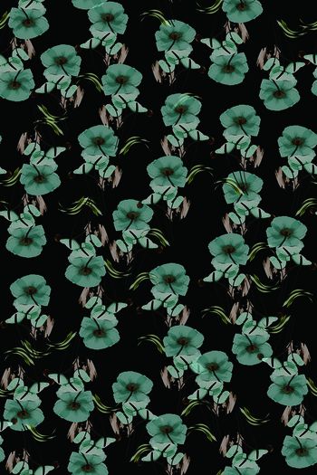 813558-蓝色花卉2