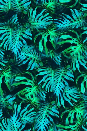 棕榈叶印花华亿平台图片