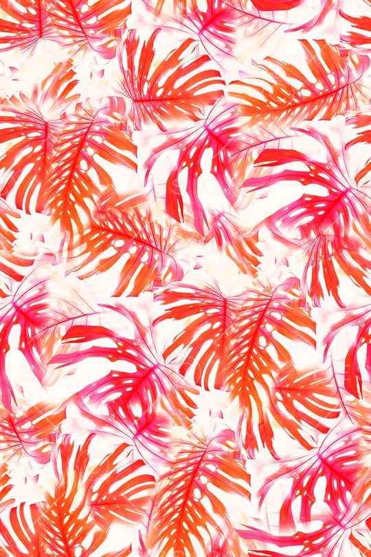 棕榈叶印花华亿平台图片