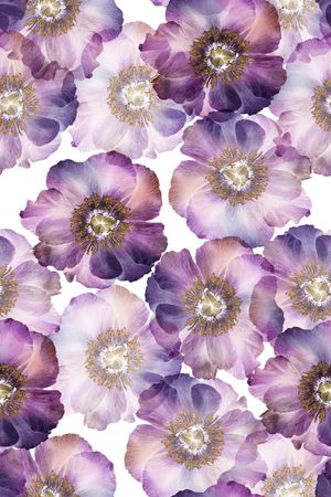 花朵印花华亿平台图片