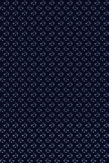 813755-原创双鹤1