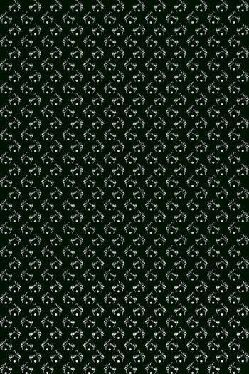 813757-原创双鹤2