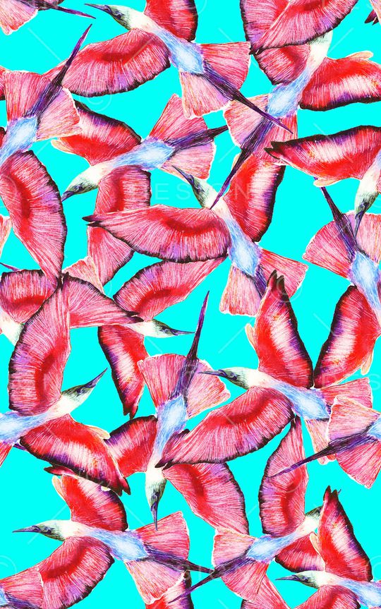 羽毛印花华亿平台图片