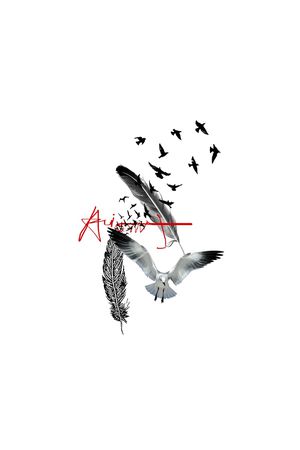 羽毛印花华亿平台图片