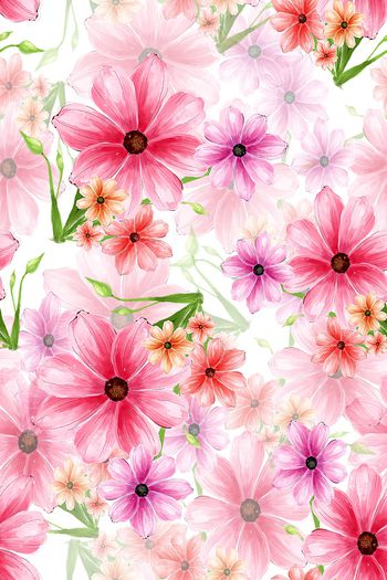 814312-粉红花_白