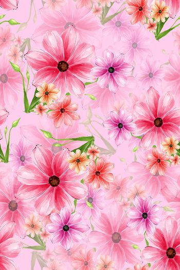 814335-粉红花—粉