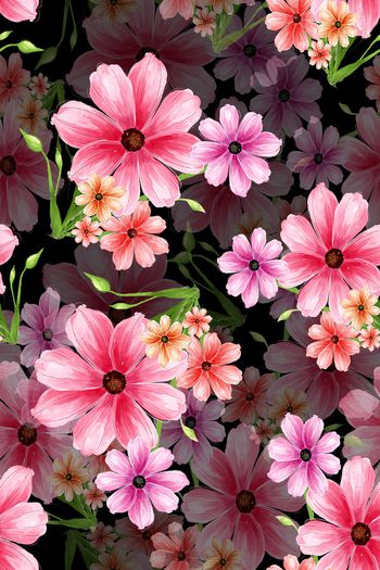 814349-粉红花——黑