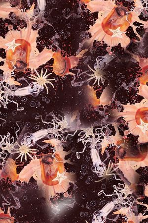 满版花印花华亿平台图片