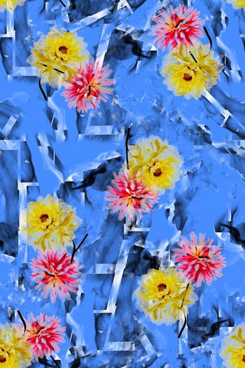 814485-菊花——蓝彩