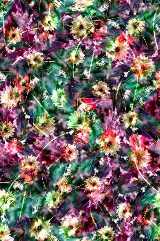 女装印花华亿平台图片