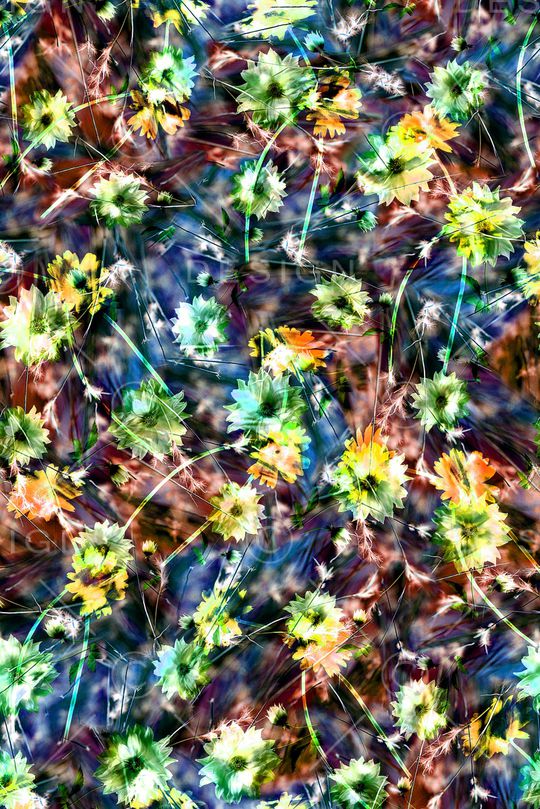 女装印花华亿平台图片