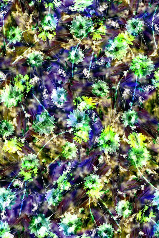 女装印花华亿平台图片