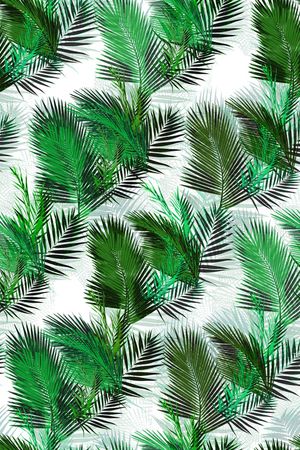 天堂鸟花印花华亿平台图片