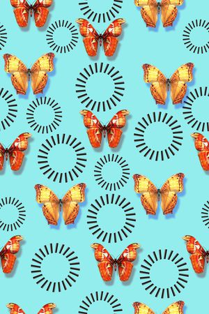 蝴蝶印花华亿平台图片