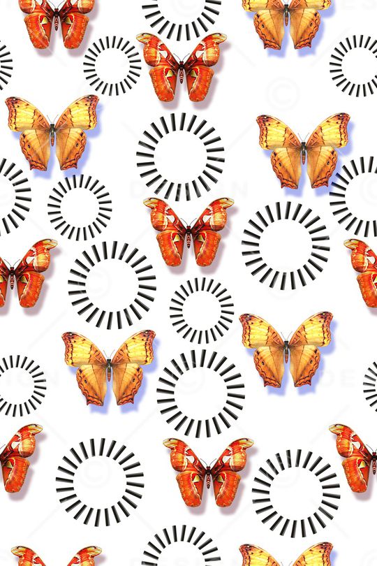 蝴蝶印花华亿平台图片