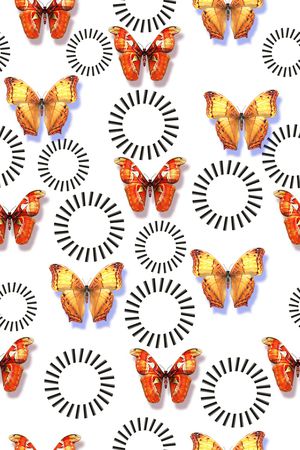 蝴蝶印花华亿平台图片