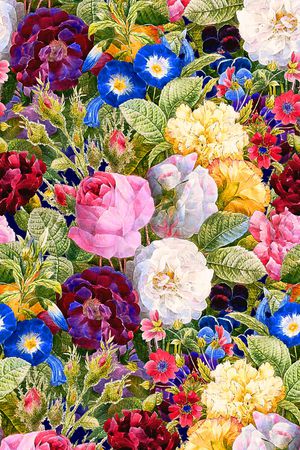 玫瑰印花华亿平台图片