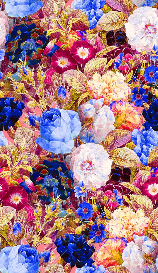 玫瑰印花华亿平台图片