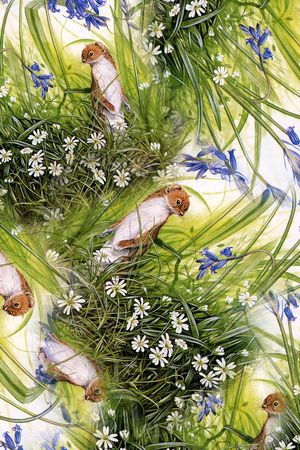 天堂鸟花印花华亿平台图片