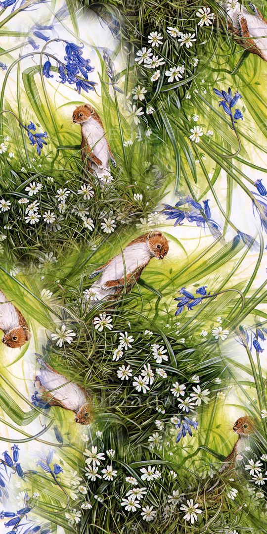 天堂鸟花印花华亿平台图片