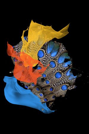 笔触印花华亿平台图片