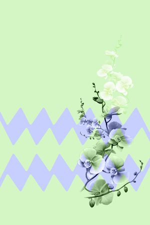 中老年女装印花华亿平台图片