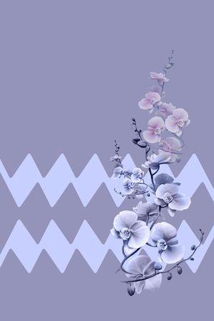 中老年女装印花华亿平台图片