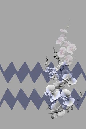 中老年女装印花华亿平台图片