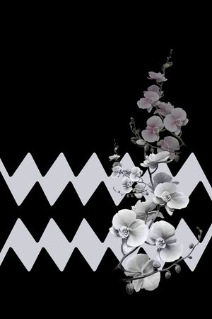 中老年女装印花华亿平台图片