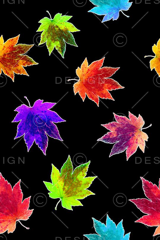 棕榈叶印花华亿平台图片