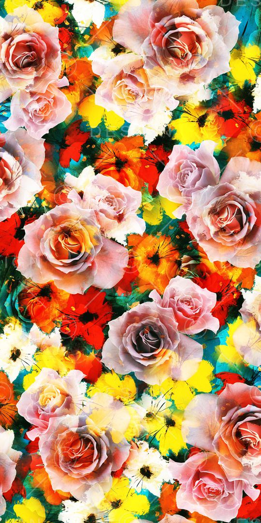 玫瑰印花华亿平台图片