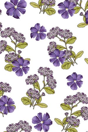 牵牛花印花华亿平台图片