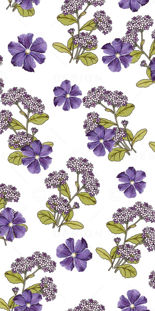 牵牛花印花华亿平台图片