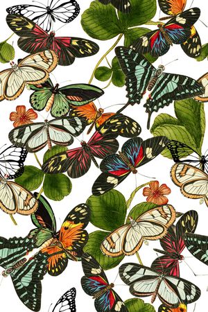 中国风印花华亿平台图片