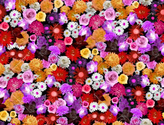 雏菊印花华亿平台图片