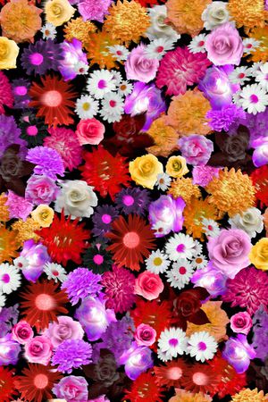 雏菊印花华亿平台图片