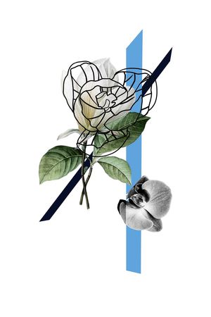 优雅印花华亿平台图片