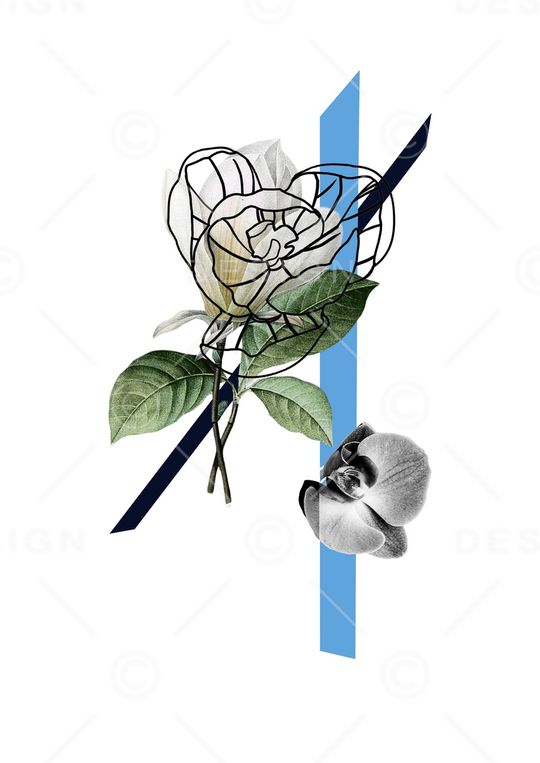 优雅印花华亿平台图片