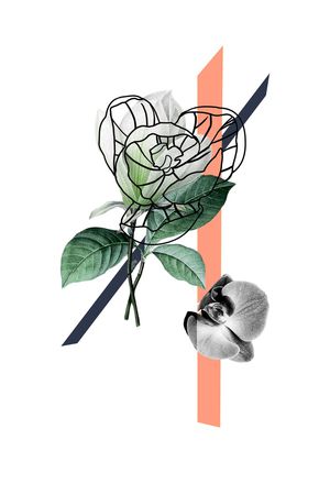 优雅印花华亿平台图片