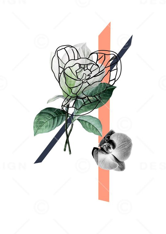 优雅印花华亿平台图片